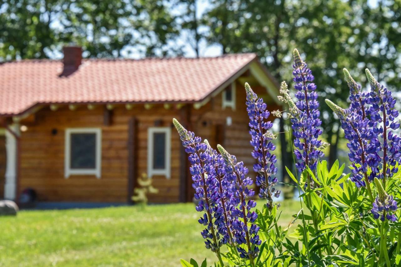 Meku Vila Degučiai Exterior foto